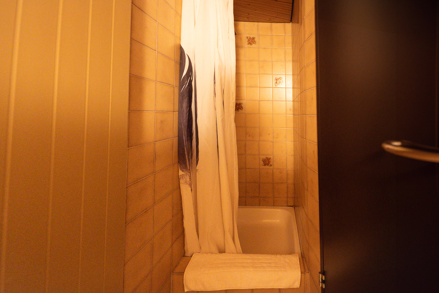 Dusche und Badewanne im Einzelzimmer